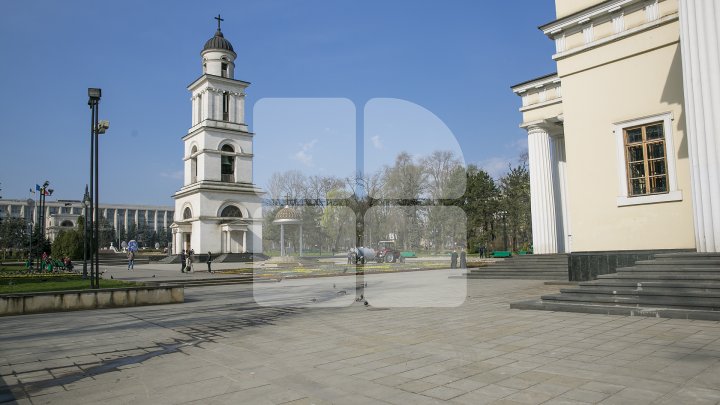 Covor imens din flori în Scuarul Catedralei din Chişinău. Locuitorii Capitalei, IMPRESIONAŢI: O frumuseţe deosebită