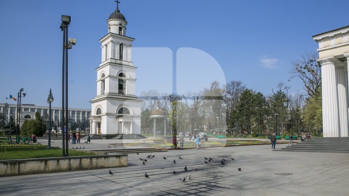 Silvia Radu: Covor din flori autentic moldovenesc, amenajat în Scuarul Catedralei. Ar fi frumos să avem o tradiţie (FOTO)