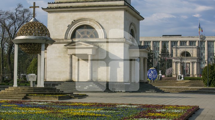 Ultima zi când mai poţi admira covorul de viole din centrul Capitalei. Ce se va întâmpla cu florile