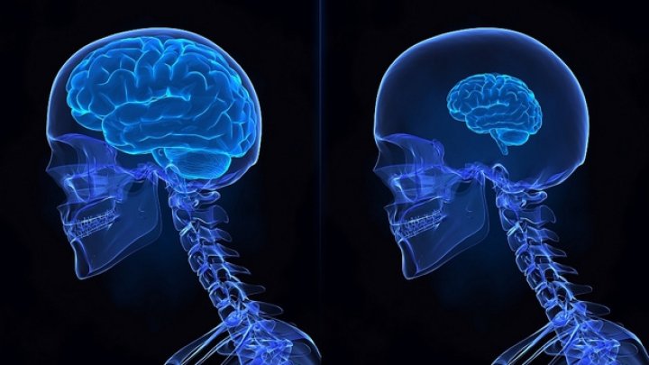 STUDIU: Creierul uman funcţionează invers atunci când încearcă să recupereze amintiri