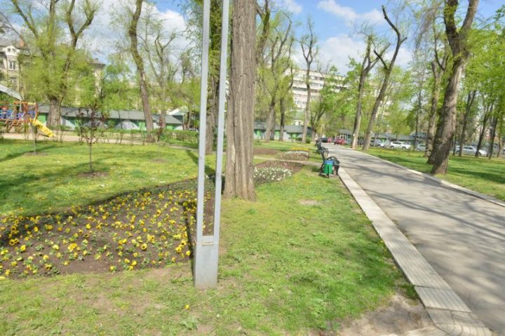 Silvia Radu: Floricelele din covorul de flori sunt deja plantate. Haideți să avem grijă de ele și să le păstrăm (FOTO)