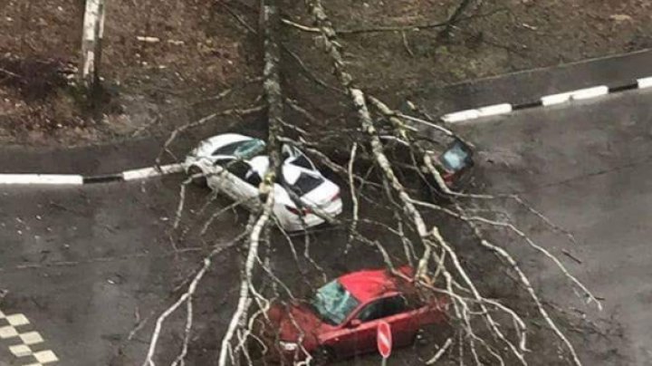 O FURTUNĂ DEVASTATOARE a făcut prăpăd în Moscova: Morţi, răniţi, copaci smulşi din rădăcini şi maşini avariate (FOTO)