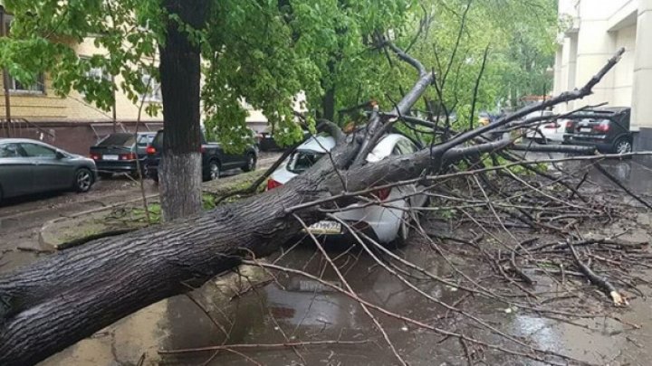 O FURTUNĂ DEVASTATOARE a făcut prăpăd în Moscova: Morţi, răniţi, copaci smulşi din rădăcini şi maşini avariate (FOTO)