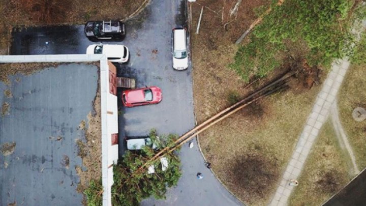 O FURTUNĂ DEVASTATOARE a făcut prăpăd în Moscova: Morţi, răniţi, copaci smulşi din rădăcini şi maşini avariate (FOTO)