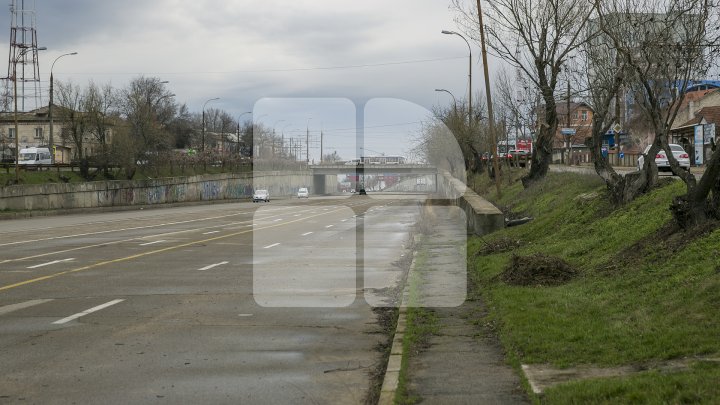 Doi miniştri din Guvernul Filip au fost văzuţi cum au făcut curăţenie pe străzile Capitalei (FOTO)