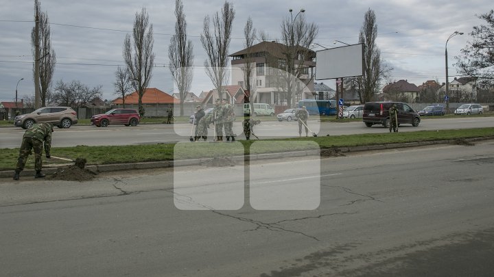 Zeci de militari ai Armatei Naţionale au făcut curat în cartierul Schinoasa din Capitală (FOTO)