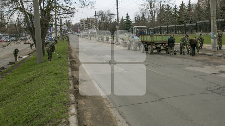 Doi miniştri din Guvernul Filip au fost văzuţi cum au făcut curăţenie pe străzile Capitalei (FOTO)