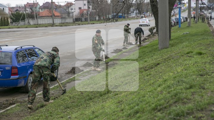 Doi miniştri din Guvernul Filip au fost văzuţi cum au făcut curăţenie pe străzile Capitalei (FOTO)