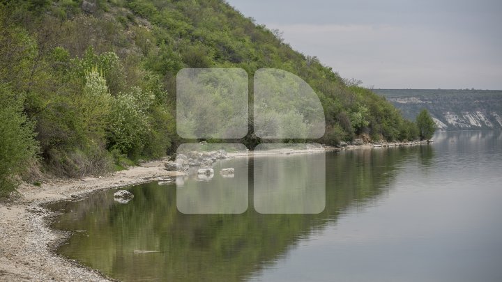 Lacul de lângă Holercani a fost populat cu peste patru tone de puiet. Ce peşte se va putea găsi în bazinul acvatic