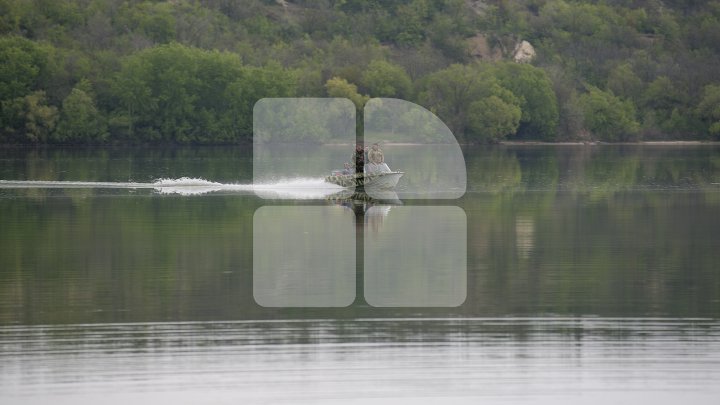 Lacul de lângă Holercani a fost populat cu peste patru tone de puiet. Ce peşte se va putea găsi în bazinul acvatic