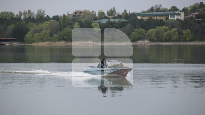 Lacul de lângă Holercani a fost populat cu peste patru tone de puiet. Ce peşte se va putea găsi în bazinul acvatic