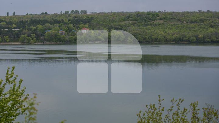 Lacul de lângă Holercani a fost populat cu peste patru tone de puiet. Ce peşte se va putea găsi în bazinul acvatic