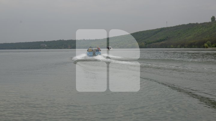 Lacul de lângă Holercani a fost populat cu peste patru tone de puiet. Ce peşte se va putea găsi în bazinul acvatic