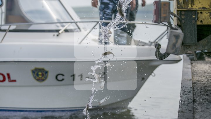 Lacul de lângă Holercani a fost populat cu peste patru tone de puiet. Ce peşte se va putea găsi în bazinul acvatic