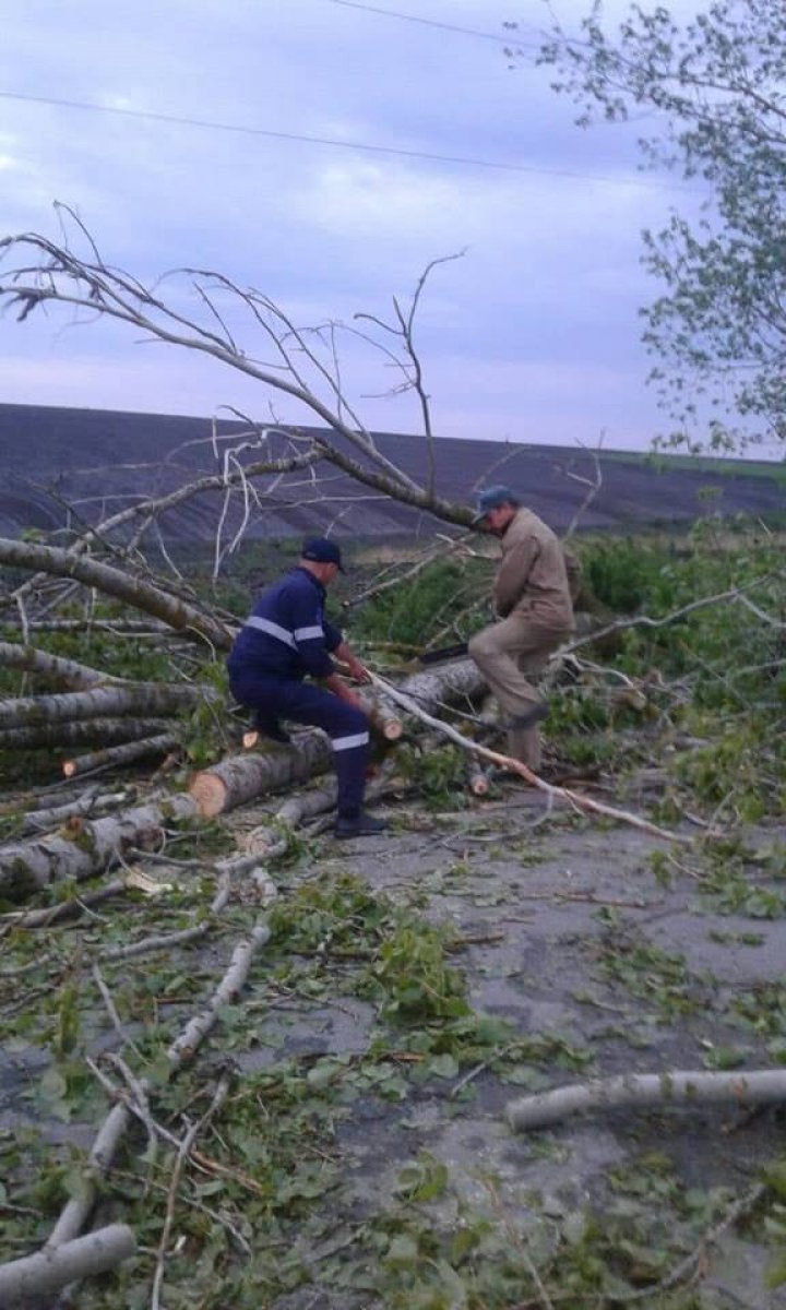 A plouat cu GRINDINĂ noaptea trecută. Sate fără lumină şi drumuri blocate de copaci rupţi (FOTO)