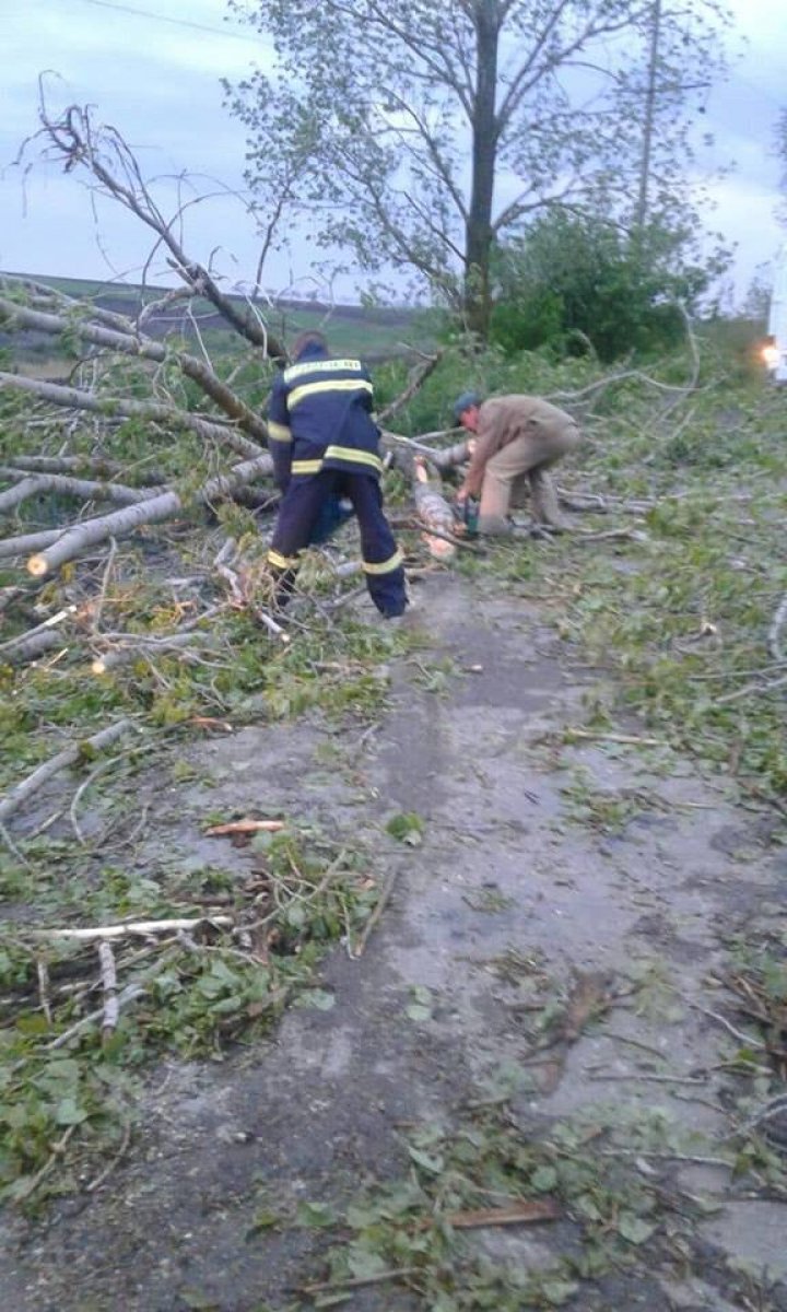 A plouat cu GRINDINĂ noaptea trecută. Sate fără lumină şi drumuri blocate de copaci rupţi (FOTO)