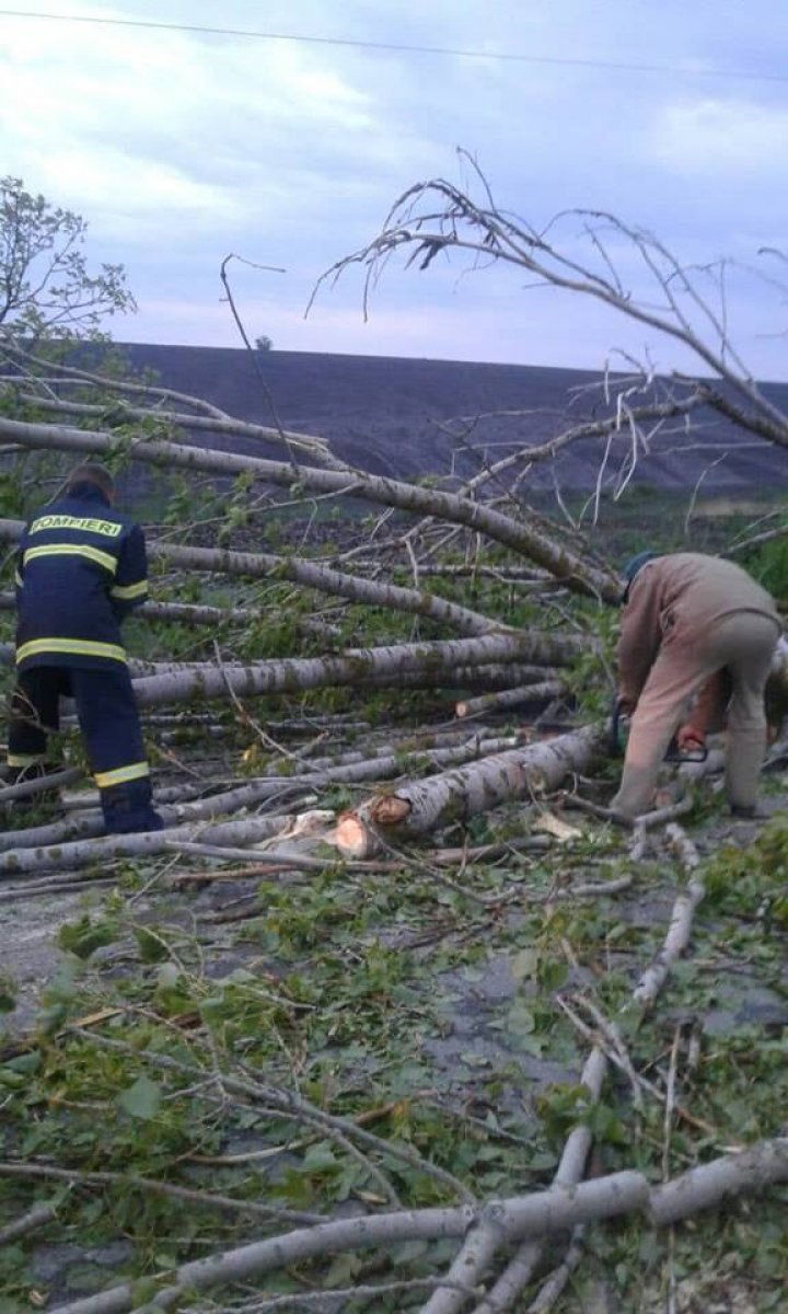 A plouat cu GRINDINĂ noaptea trecută. Sate fără lumină şi drumuri blocate de copaci rupţi (FOTO)