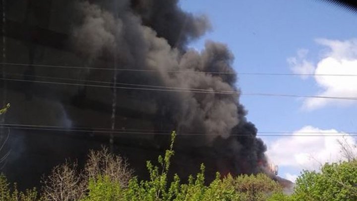 INCENDIU PUTERNIC la Institutul de Zoologie al Academiei de Ştiinţe. 14 autospeciale, la faţa locului (VIDEO/FOTO)