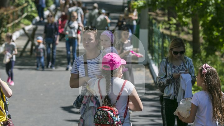 Grădina Zoologică se redeschide! Vizitatorii vor putea admira un pui de crocodil venit pe lume acum câteva zile (FOTOREPORT)