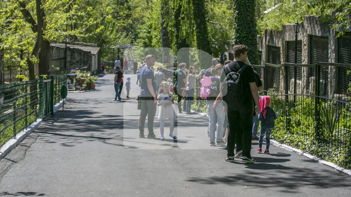 Grădina Zoologică se redeschide! Vizitatorii vor putea admira un pui de crocodil venit pe lume acum câteva zile (FOTOREPORT)