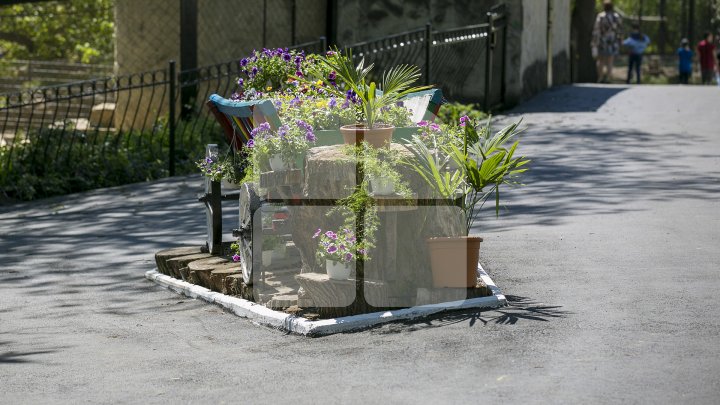 Grădina Zoologică se redeschide! Vizitatorii vor putea admira un pui de crocodil venit pe lume acum câteva zile (FOTOREPORT)