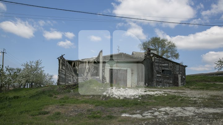 SCANDAL în satul Horeşti. Localnicii, REVOLTAŢI că au fost TĂIAŢI ILEGAL pomii fructiferi: E un lucru criminal (FOTO)