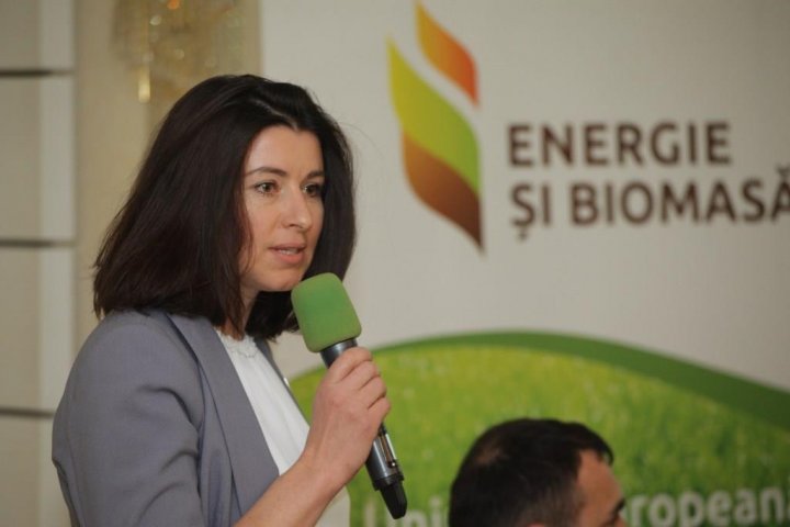 Antreprenorii din Cehia şi Republica Moldova îşi unesc eforturile pentru a dezvolta sectorul energiei verzi în ţara noastră