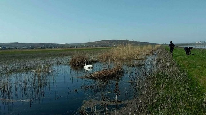 Apel la Serviciul 112 pentru a interveni într-o misiune mai puţin obişnuită. Salvatorii au mers de urgenţă la faţa locului (FOTO) 