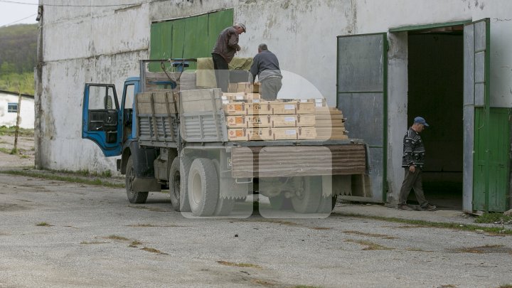 Terenuri protejate de grindină. Punctele de lansare vor primi câte 58 de proiectile (FOTOREPORT)