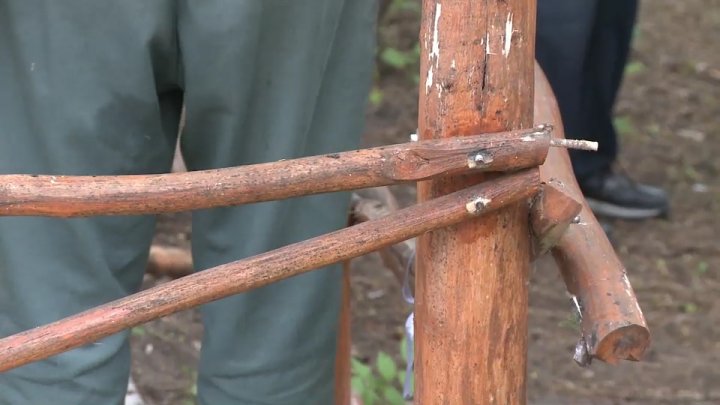 Demolare cu scandal în parcul Râşcani din Capitală: Mai multe foişoare, dezafectate