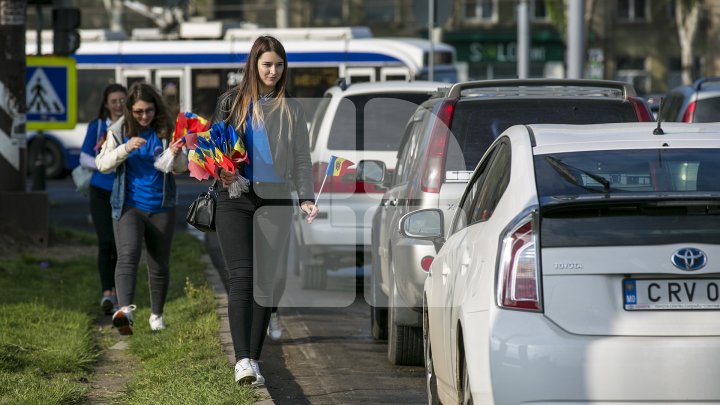 Omagiu Tricolorului! Tinerii democraţi au împărţit mii de steguleţe în Capitală (FOTO)