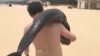 SCENE ȘOCANTE. Un turist a ieșit la plimbare pe plajă cu delfinul pe spate (VIDEO)