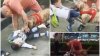 Imagini teribile. Un băieţel de 4 ani, sfâşiat pe stradă de un pitbull (VIDEO)