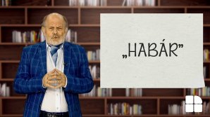 DE VORBĂ DESPRE VORBE cu Vsevolod Cernei. Cum folosim corect cuvântul "habar"