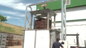 PREMIERĂ în agricultura moldovenească. Butașii afectaţi de boli vor putea fi trataţi cu ajutorul apei fierbinţi