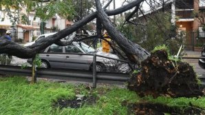 Furtună violentă în Buenos Aires. Doi oameni, tată şi fiu, au murit 
