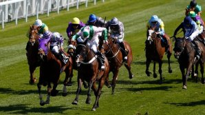 PUBLIKA WORLD: Cursă fascinantă cu cai în Marea Britanie. Mii de oameni au venit la spectacol pentru a urmări întrecerile   