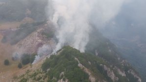 INCENDIU DE PROPORŢII într-un parc naţional din România. Peste 100 de pompieri luptă cu flăcările
