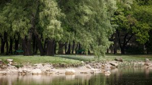 METEO 1 MAI: Mult soare şi temperaturi generoase. Câte grade vor indica termometrele