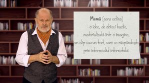 DE VORBĂ DESPRE VORBE cu Vsevolod Cernei. Sensul corect a expresiei "memă"