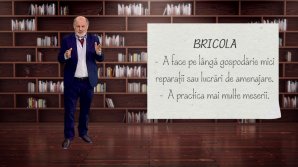 DE VORBĂ DESPRE VORBE cu Vsevolod Cernei. Află originea şi sensul cuvântului bricola (VIDEO)