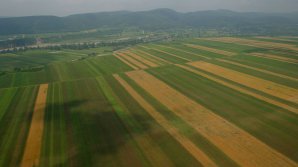 Proprietarii terenurilor agricole amplasate după traseul Rîbnița-Tiraspol vor primi compensații din partea statului 