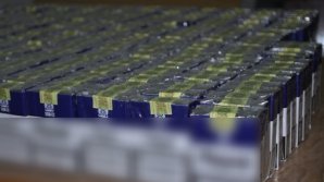 Date statistice: În 2017 au fost depistate 5,5 milioane de ţigări de contrabandă