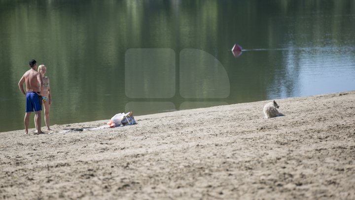 Se scaldă în râul Nistru şi fac băi de soare. Odihna de vară, în toi pe plaja de la Vadul lui Vodă (FOTOREPORT)