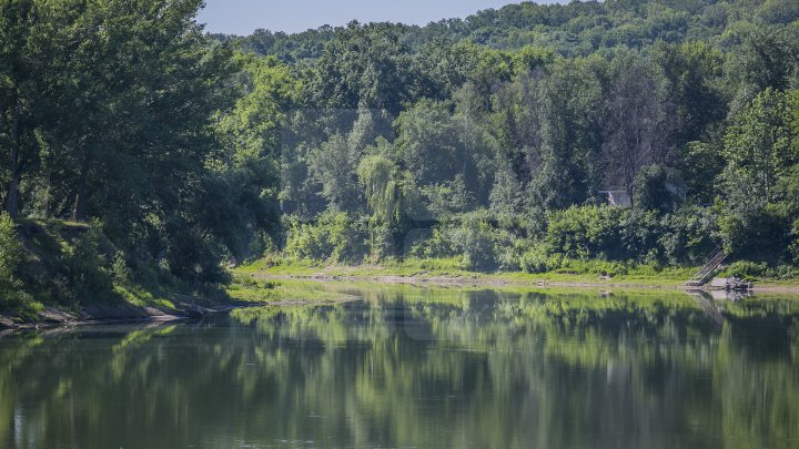 Se scaldă în râul Nistru şi fac băi de soare. Odihna de vară, în toi pe plaja de la Vadul lui Vodă (FOTOREPORT)