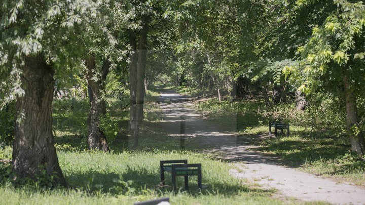 Se scaldă în râul Nistru şi fac băi de soare. Odihna de vară, în toi pe plaja de la Vadul lui Vodă (FOTOREPORT)