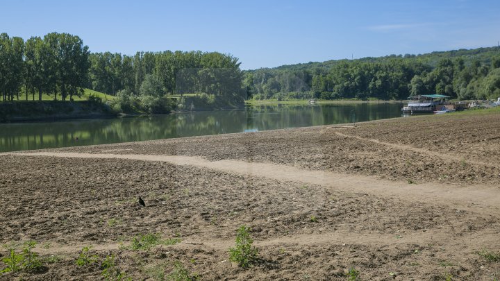 Se scaldă în râul Nistru şi fac băi de soare. Odihna de vară, în toi pe plaja de la Vadul lui Vodă (FOTOREPORT)