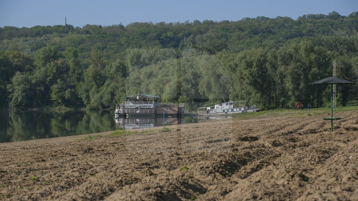 Se scaldă în râul Nistru şi fac băi de soare. Odihna de vară, în toi pe plaja de la Vadul lui Vodă (FOTOREPORT)