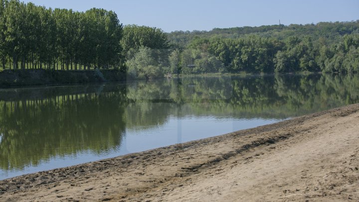 Se scaldă în râul Nistru şi fac băi de soare. Odihna de vară, în toi pe plaja de la Vadul lui Vodă (FOTOREPORT)