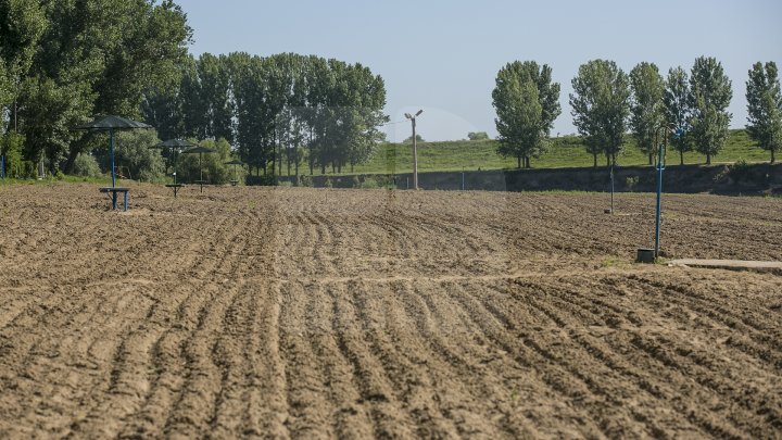 Se scaldă în râul Nistru şi fac băi de soare. Odihna de vară, în toi pe plaja de la Vadul lui Vodă (FOTOREPORT)